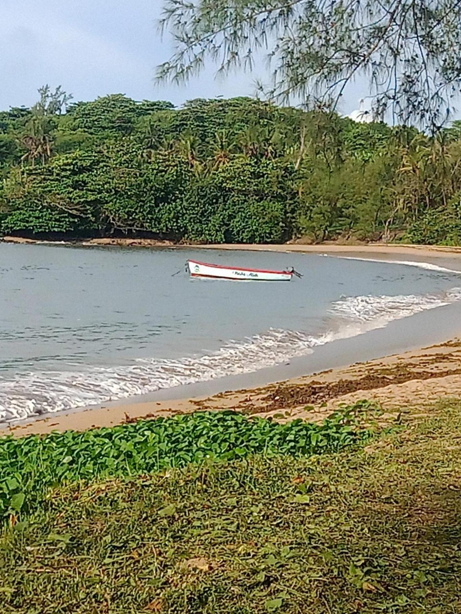 Residence Des Cascades Surinam Bagian luar foto